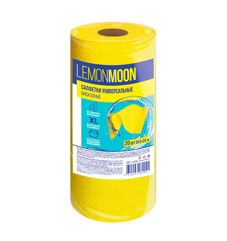 L419 L419